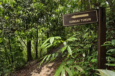 imagex/Shutterstock : A signpost marks the way in Penang National Park, Malaysia