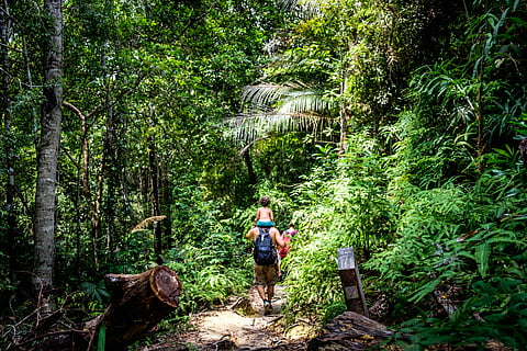 Visitors can easily fill a day with activities such as jungle walks and boat trips at Penang National Park
