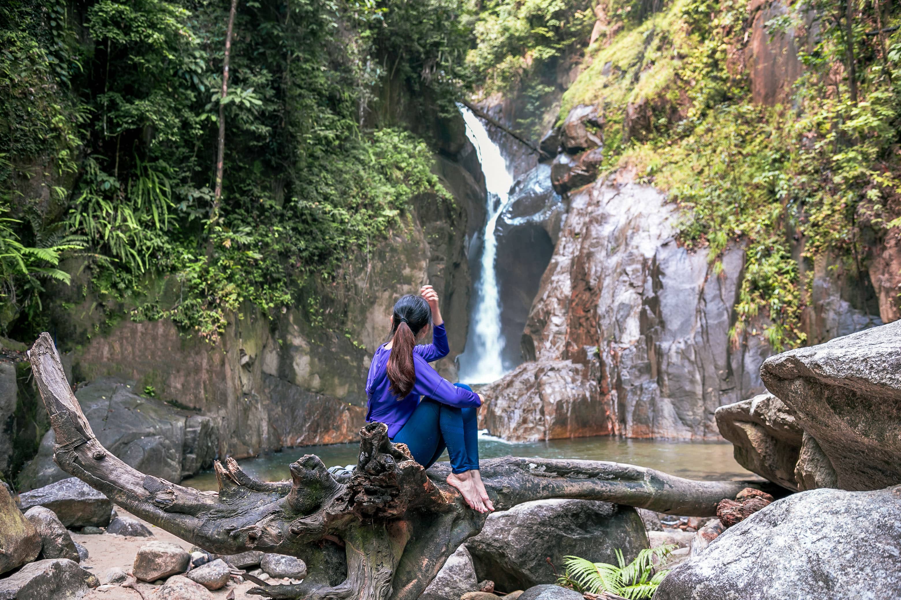 The Chiling Waterfalls provide a safe haven for mahseer, a large freshwater fish