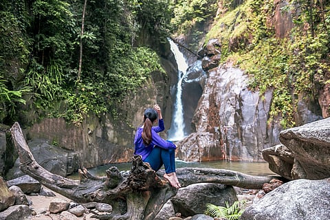 The Chiling Waterfalls provide a safe haven for mahseer, a large freshwater fish