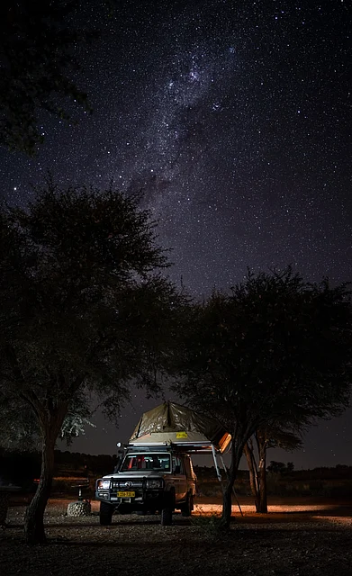 Shutterstock : A safari jeep at night under the blanket of stars