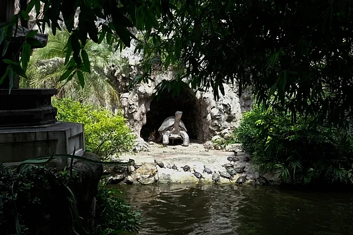The pond surrounding Khao Mo is home to turtles