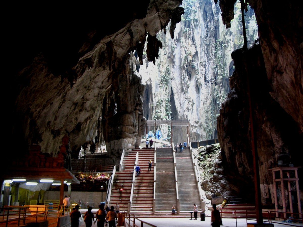 The dark interior of the caves house many plant and animal species
