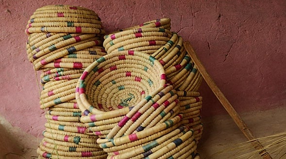 The women of Ranidongri and Amla villages weave their baskets using ubiquitous plants found in the area: dog rose, honeysuckle and blackberry briars