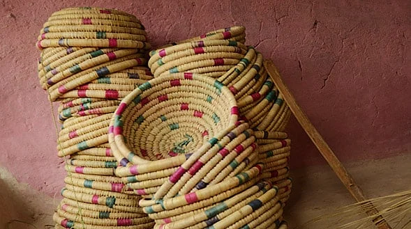 The women of Ranidongri and Amla villages weave their baskets using ubiquitous plants found in the area: dog rose, honeysuckle and blackberry briars