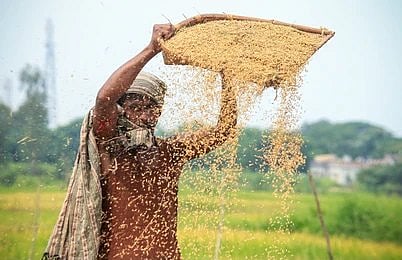Akhi Muthi Anukula involves sowing seeds (representational image)