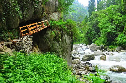 A bridge on the trek from Rolla to Chalocha in Tirthan Valley