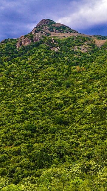 Yercaud is located in the Eastern Ghats