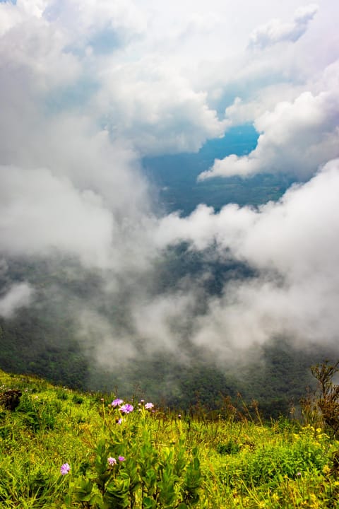A view of Kudremukh