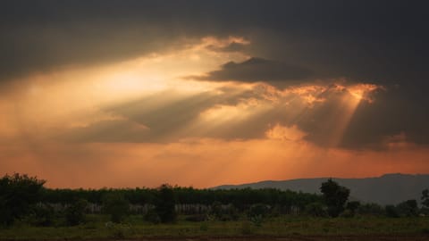 The sun breaks through the clouds at twilight in the Polo Forest