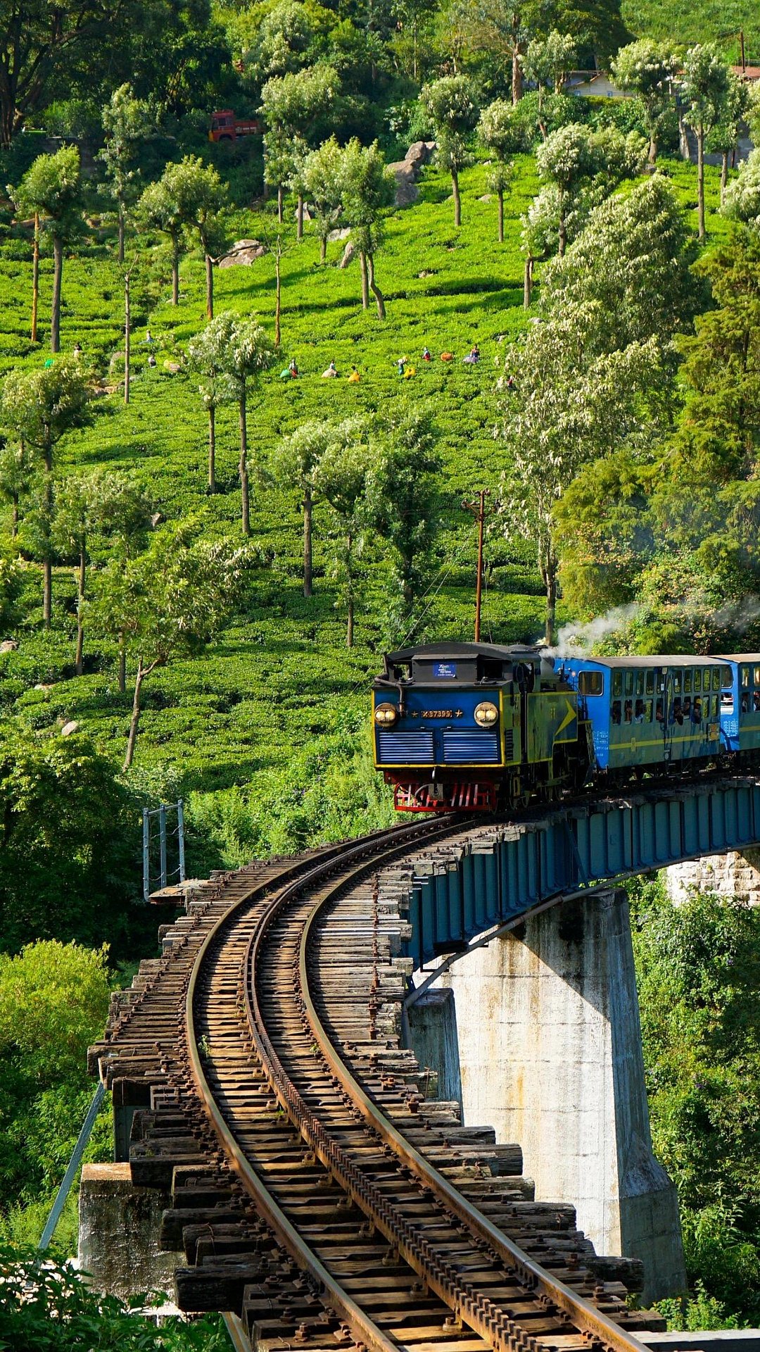 Train in Ooty