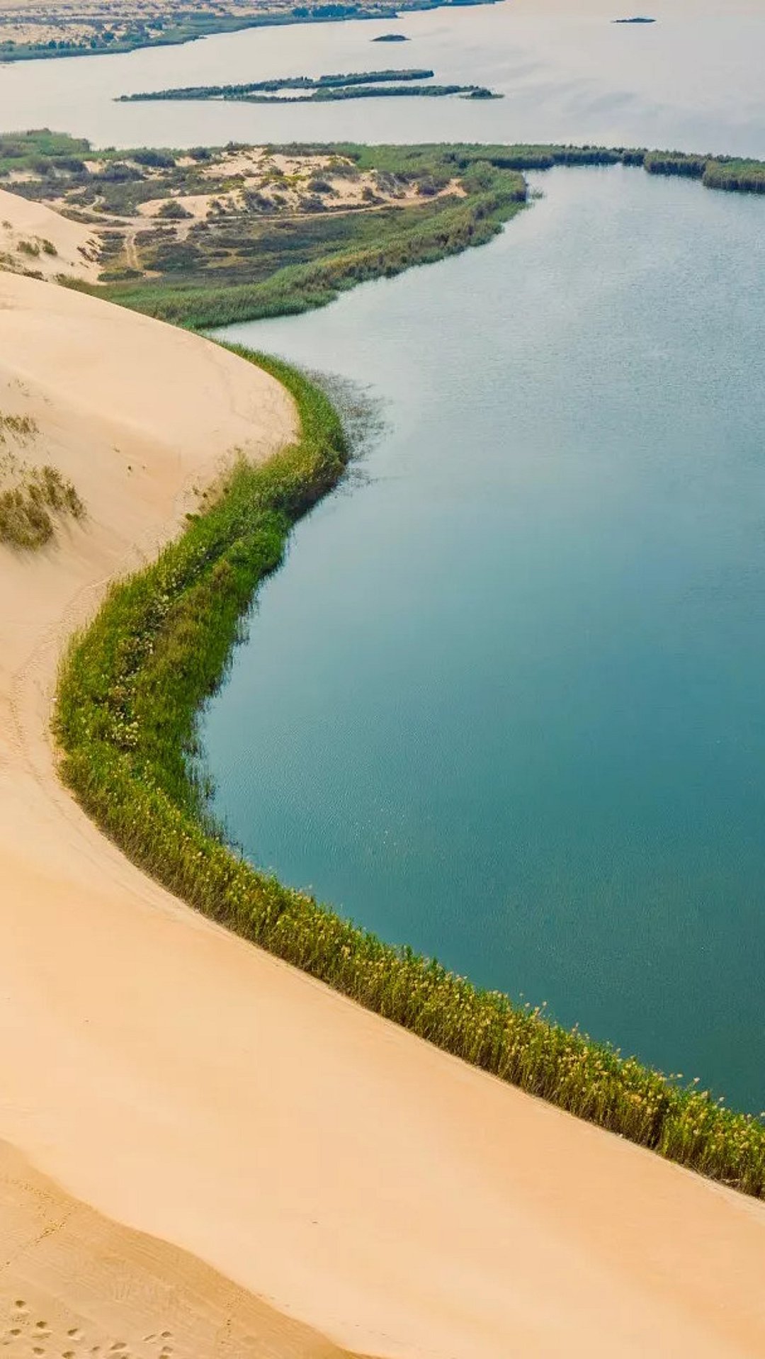 Al-Ahsa is the largest oasis in the world
