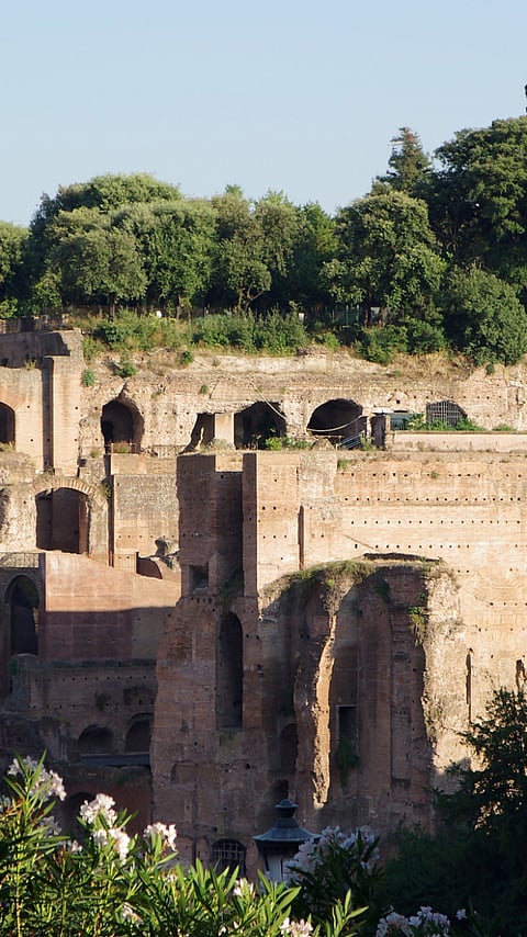 A view of the Palatine Hill