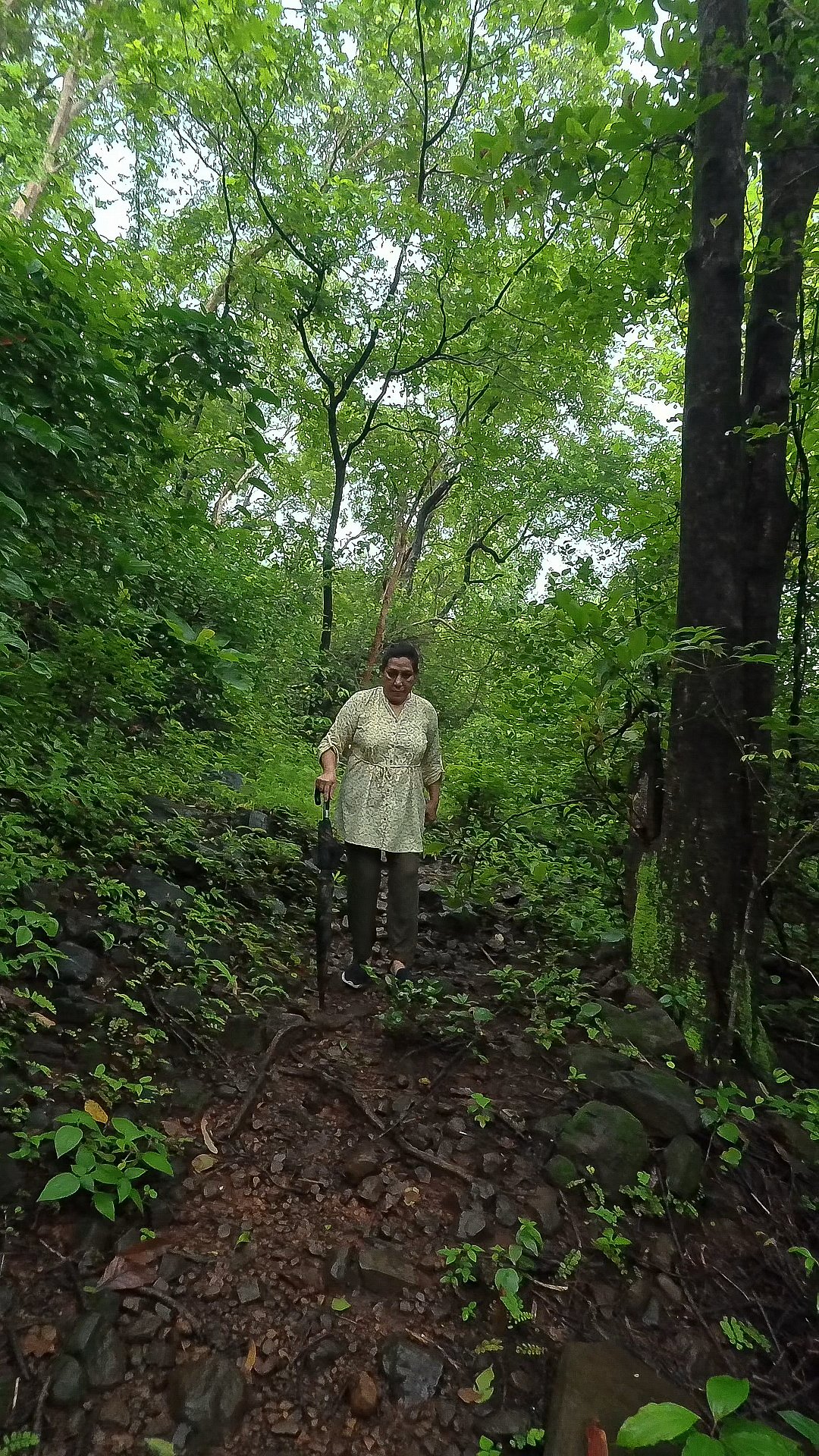 The trek to the waterfalls meandered through mossy rocks and slopes.