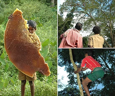 Copyright: Tarsh and Tariq Thekaekara. Photo sourced from earth_unreal/Instagram : The Kattunayakan are a designated scheduled tribe that lives in the states of Tamil Nadu, Karnataka, Kerala and Andhra Pradesh