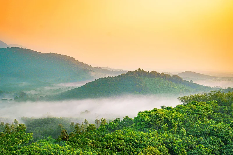 The Kattunayakan community who live in Kerala’s Nilambur area (seen here) are called Cholanaickan