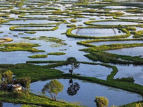 A shot of Loktak Lake