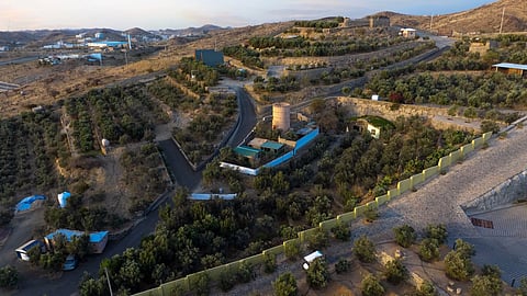 The Al-Zaytouna Farm is home to more than 4,000 olive trees
