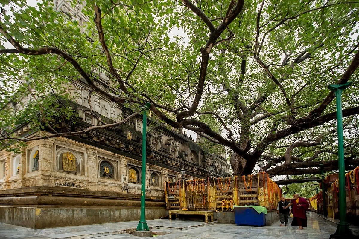 Af Douglas Mason/lex.dk/botræet : Bodhgaya is revered as the birthplace of enlightenment