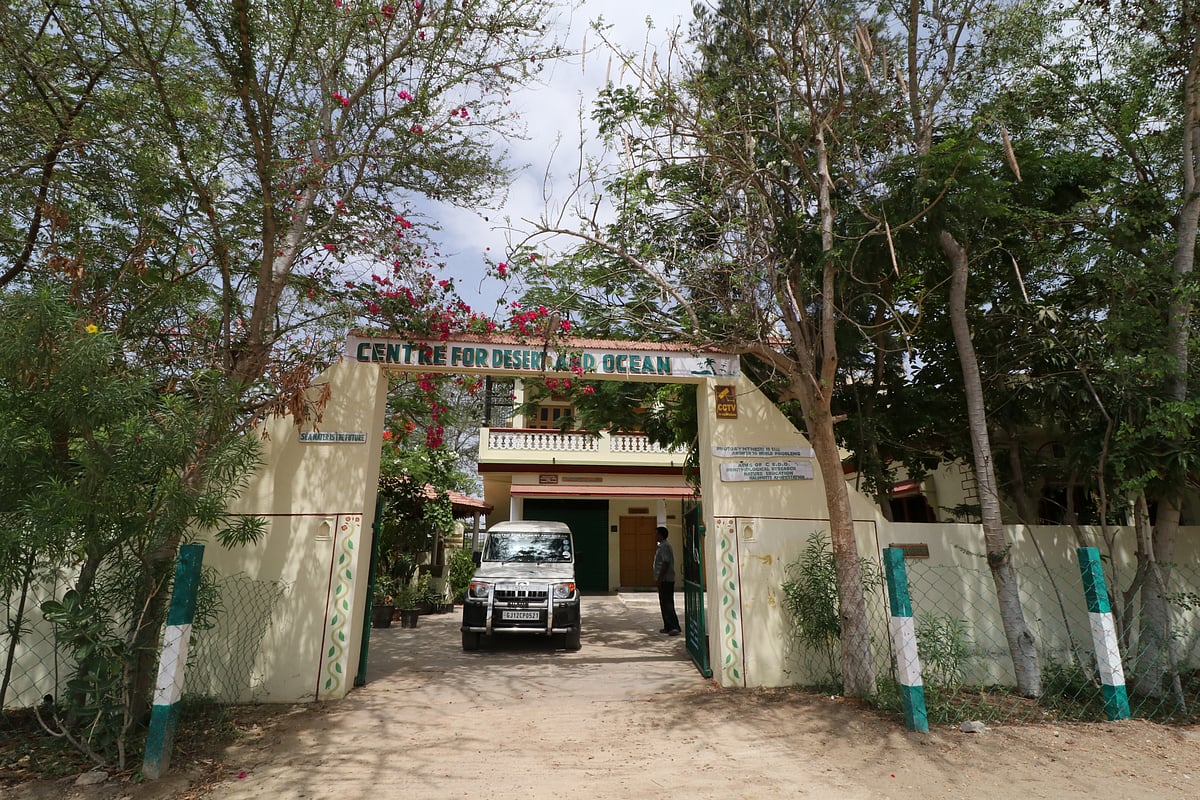 CEDO Homestay : CEDO Homestay, Kachchh 