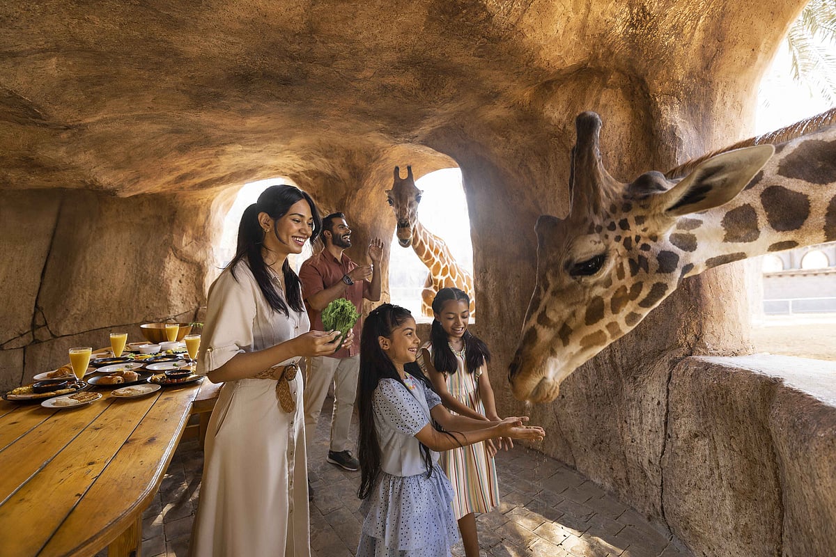 Visit Abu Dhabi : Enjoy a meal with the Giraffes at Emirates Park Zoo