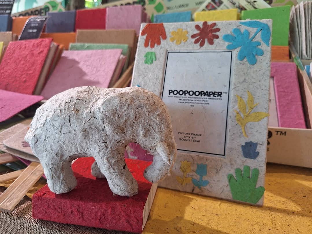 Shop for souvenirs at the Elephant Poo Poo Paper Park