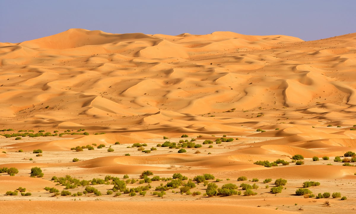 A wadi in the Rub Al Khali
