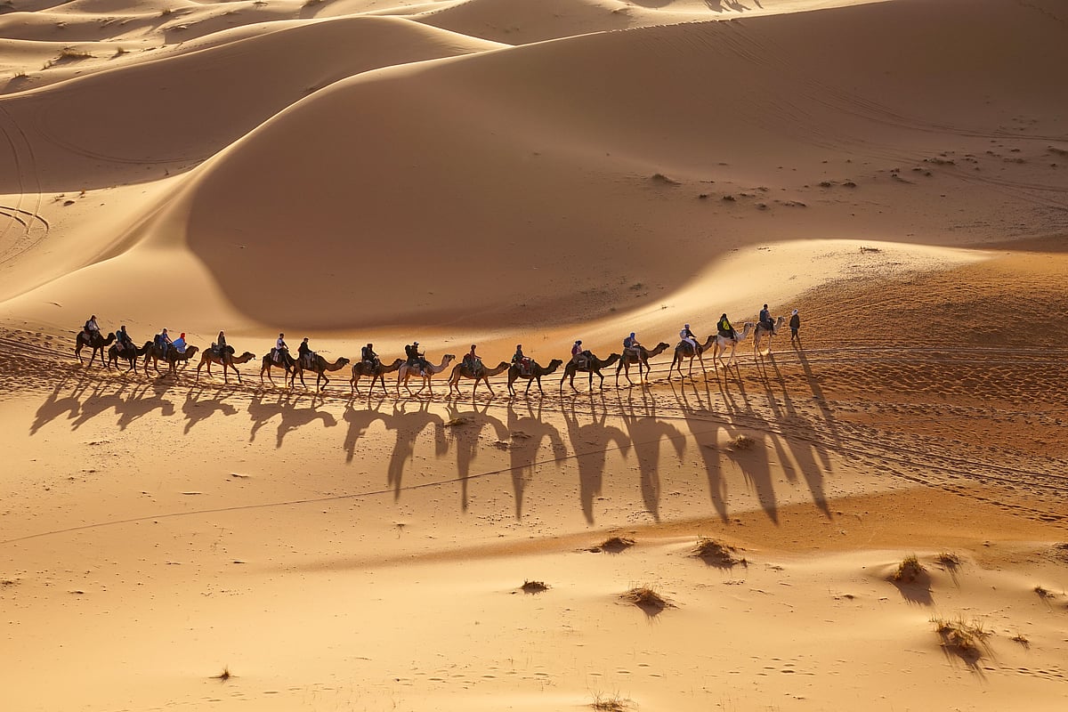 For a more traditional desert experience, embark on a camel safari through the Empty Quarter