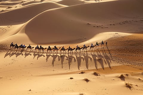 For a more traditional desert experience, embark on a camel safari through the Empty Quarter