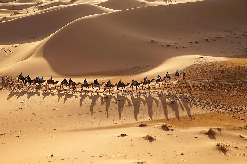 For a more traditional desert experience, embark on a camel safari through the Empty Quarter