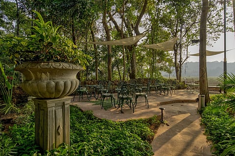 The garden has a whimsical fairycore aesthetic and overlooks paddy fields