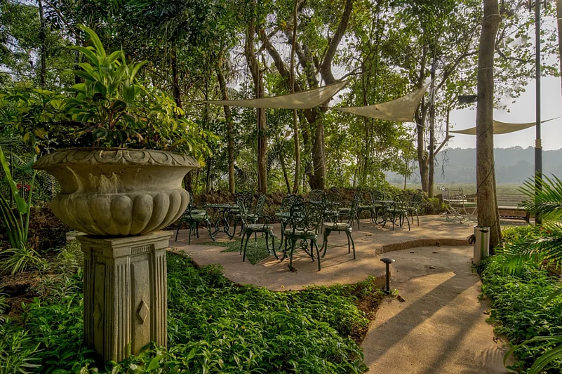 The garden has a whimsical fairycore aesthetic and overlooks paddy fields