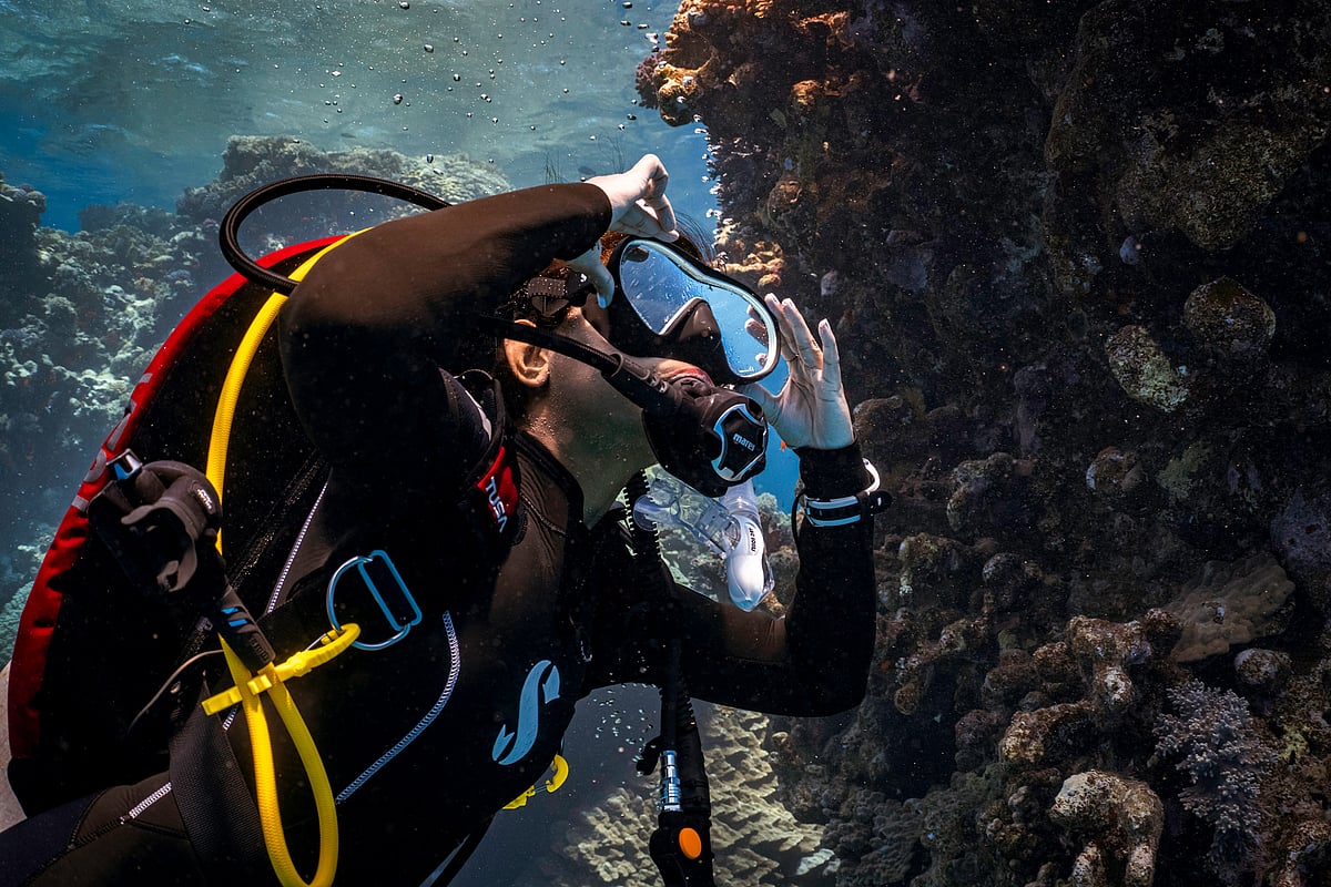 The right gear is important to go scuba diving safely