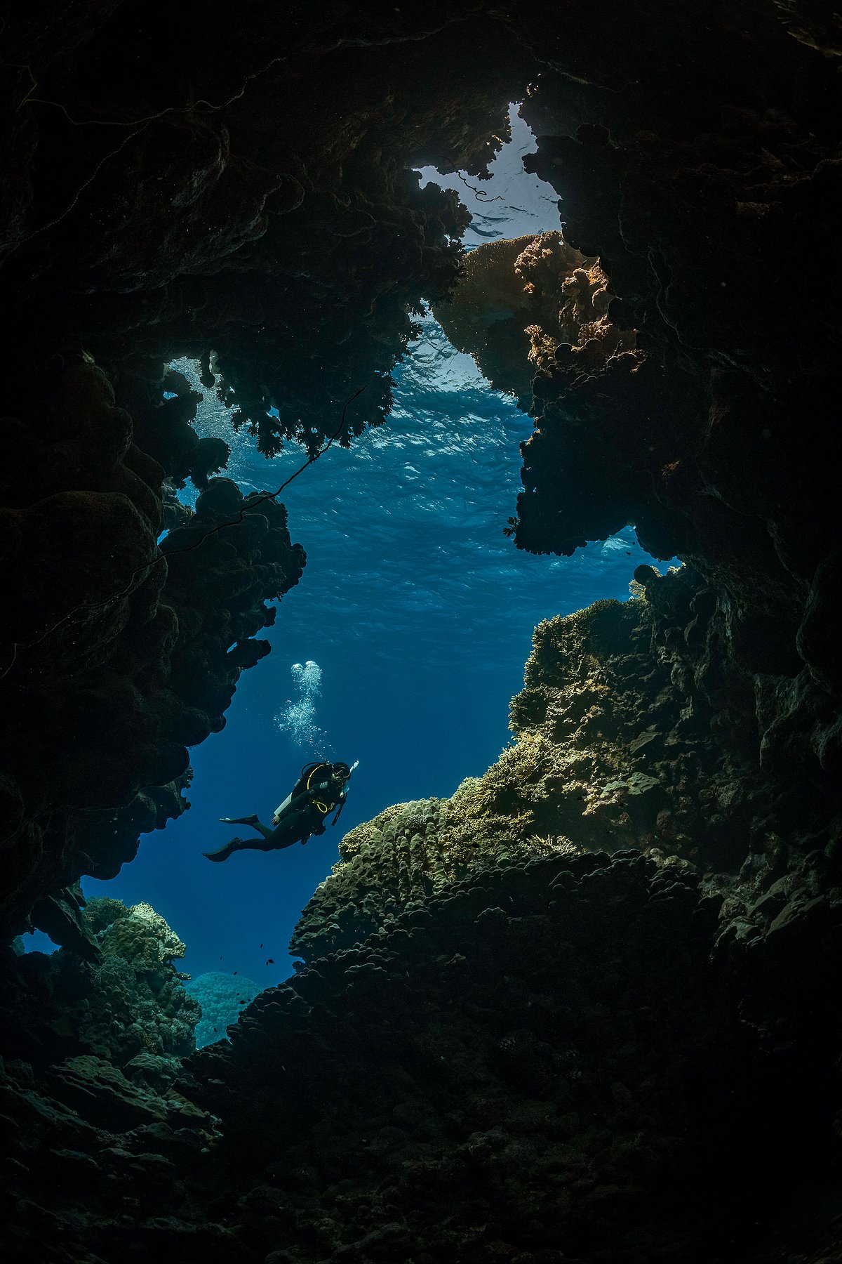 Learning to scuba dive starts with the PADI Open Water Diver course