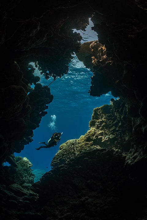 Learning to scuba dive starts with the PADI Open Water Diver course