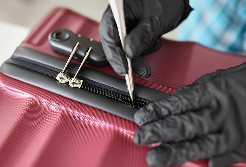 Hanna Kuprevich/Shutterstock