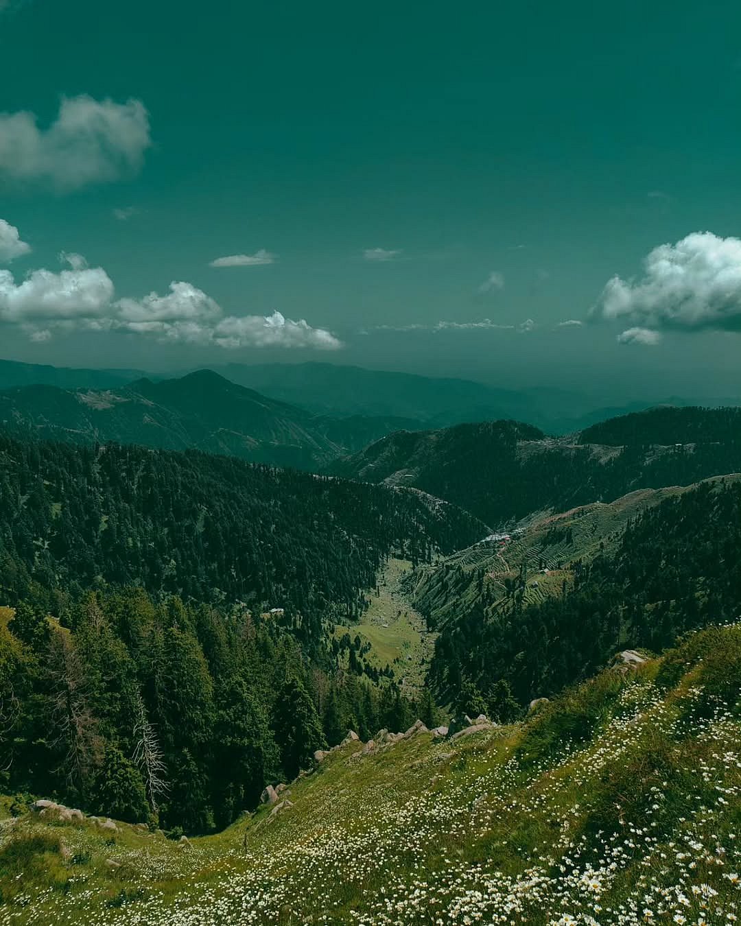 fascinating.silhouettes/Instagram : Dainkund Peak in Himachal Pradesh is among the most beautiful and least visited places in the Dalhousie region