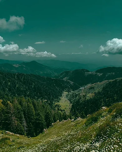 fascinating.silhouettes/Instagram : Dainkund Peak in Himachal Pradesh is among the most beautiful and least visited places in the Dalhousie region