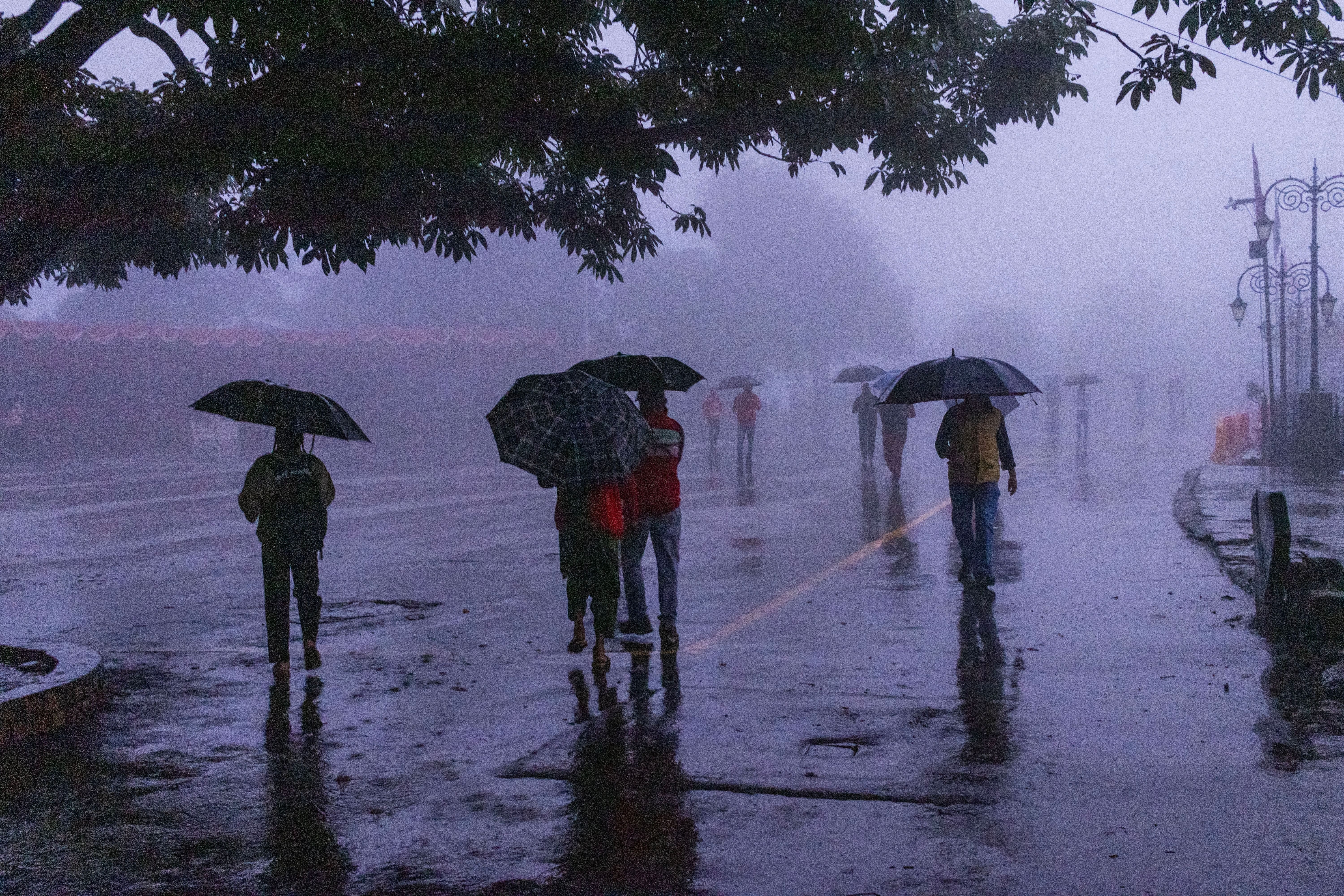 The IMD has forecast light to moderate rainfall accompanied by thunderstorms and gusty winds in Himachal Pradesh