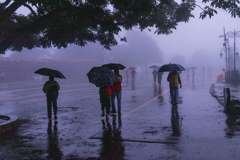 The IMD has forecast light to moderate rainfall accompanied by thunderstorms and gusty winds in Himachal Pradesh