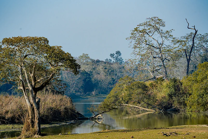 Four main types of vegetation exist in Kaziranga: alluvial inundated grasslands, alluvial savanna woodlands, tropical moist mixed deciduous forests and tropical semi-evergreen forests