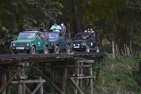 Tourists on a safari through Kaziranga National Park and Tiger Reserve in Assam