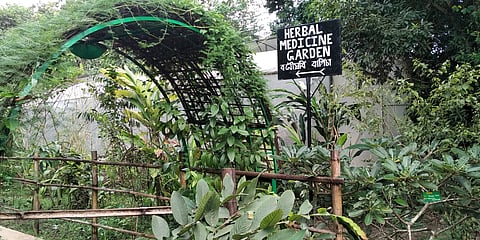 Kaziranga National Orchid and Biodiversity Park