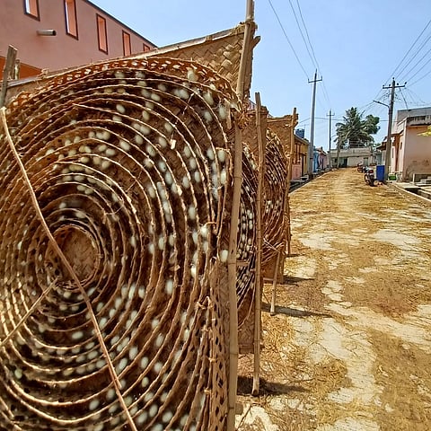 Production of silk in Ramanagara