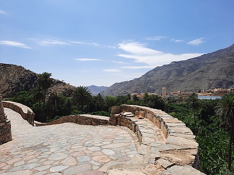 Greenery around Dhee Ayn