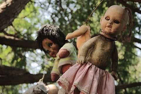 People visiting the Island of Dolls often hang plastic dolls from the trees.