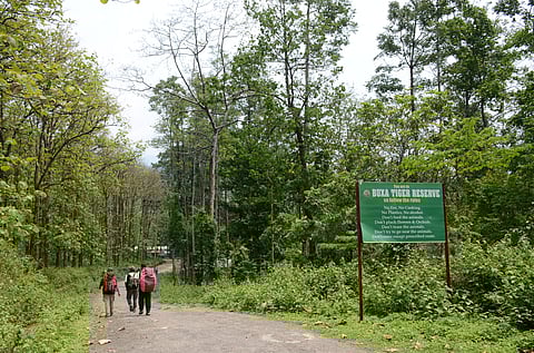 The Buxa Tiger Reserve is situated in the Alipurduar district of West Bengal.