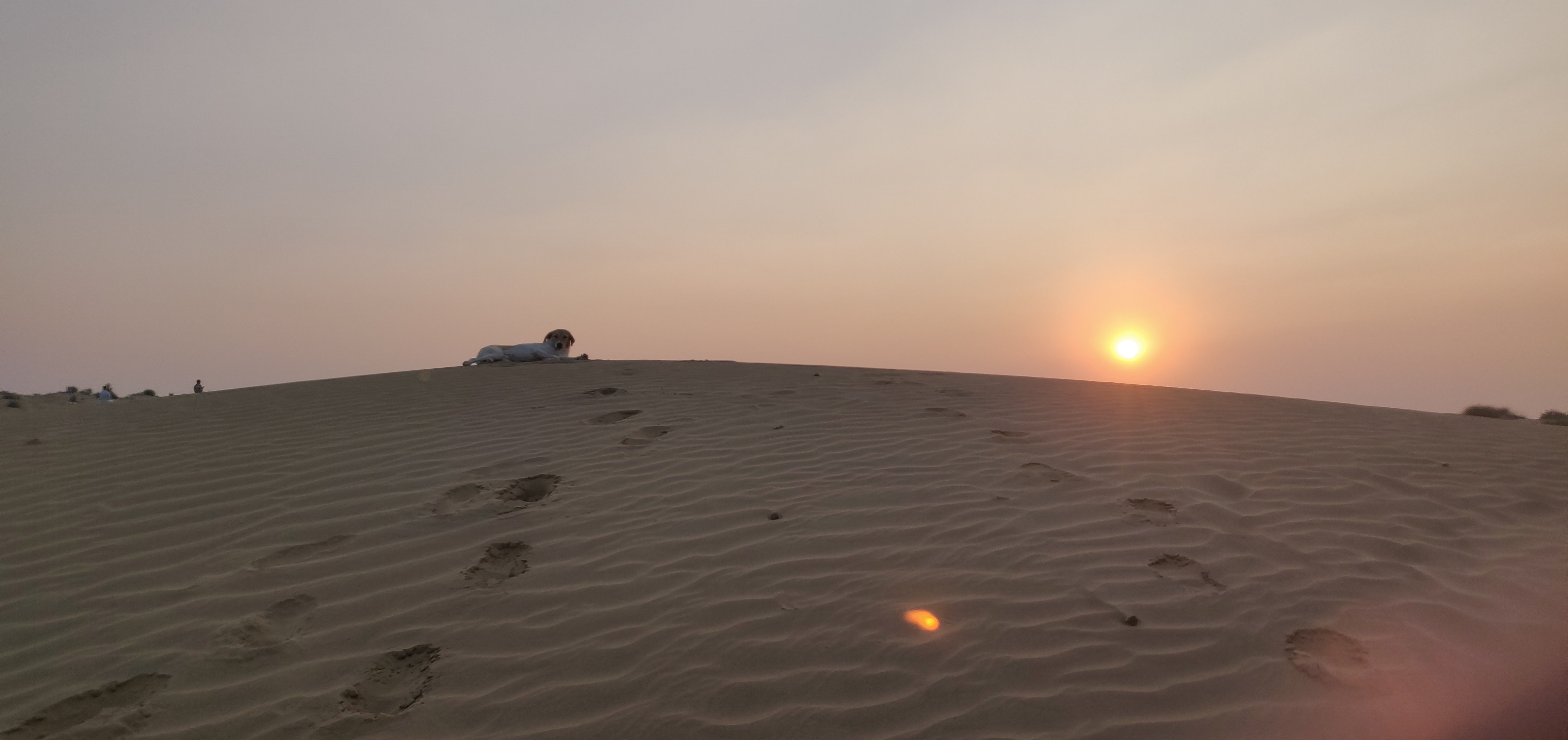 The Thar Desert, also known as the Great Indian Desert, is an arid region in the north-western part of the Indian subcontinent.