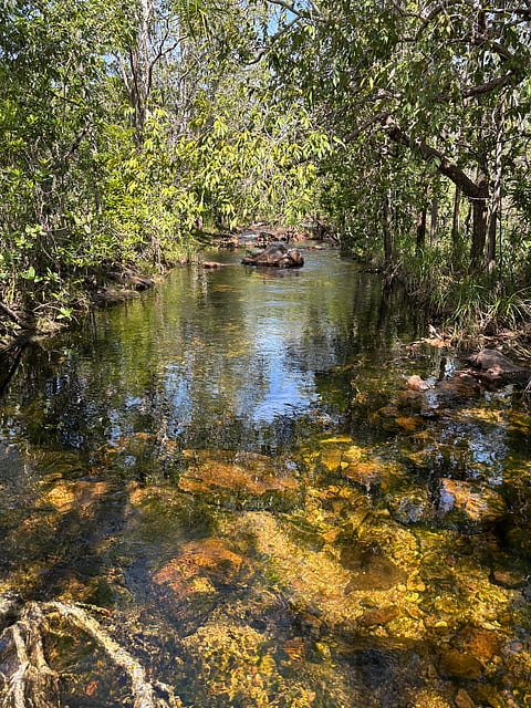 Litchfield National Park is spread across 1,461 sq km, just a 90-minute drive from Darwin.