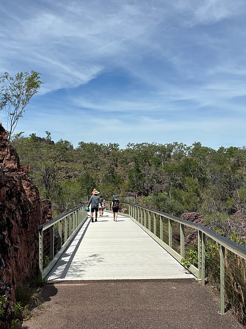 The 41.7 km Tabletop Track starts from Wangi Falls and takes you through extensive woodlands.